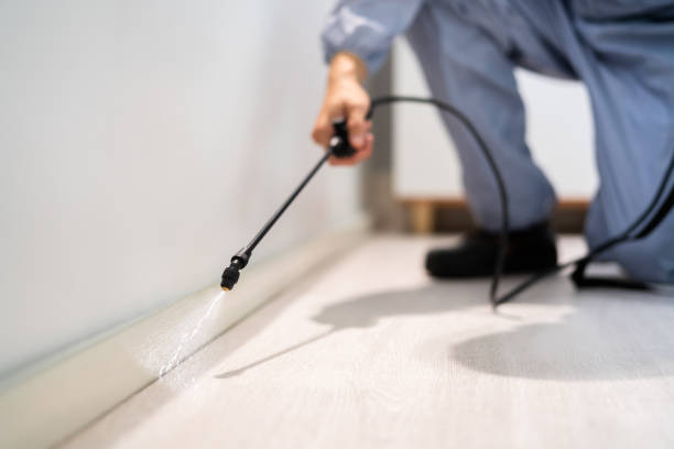 Licensed Pest Control service in South Lakes, AK - Show Me Pest Control