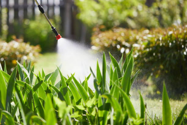 Tamper-Resistant Bait Stations for Rodents in South Lakes