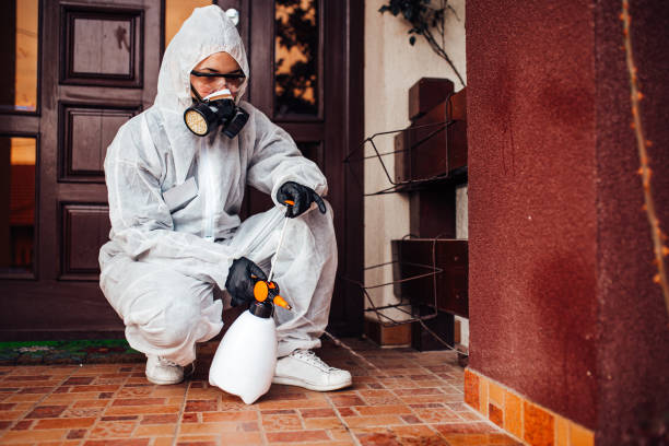 Attic and Crawl Space Rodent Treatment in South Lakes