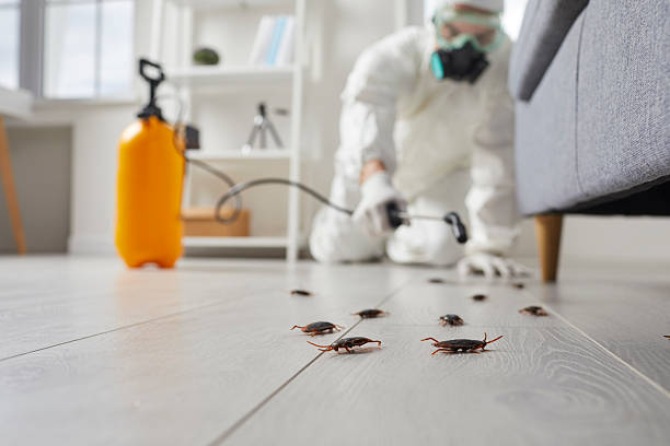 Commercial Rodent Management in South Lakes
